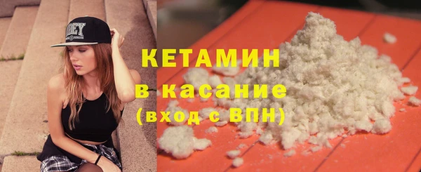 индика Вяземский