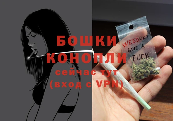 индика Вяземский