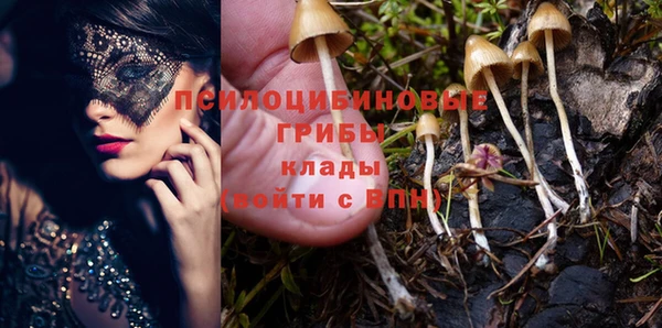 индика Вяземский