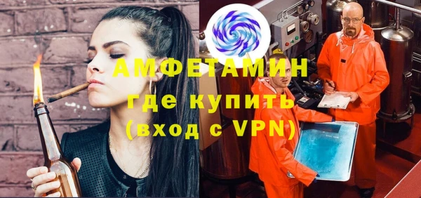 индика Вяземский