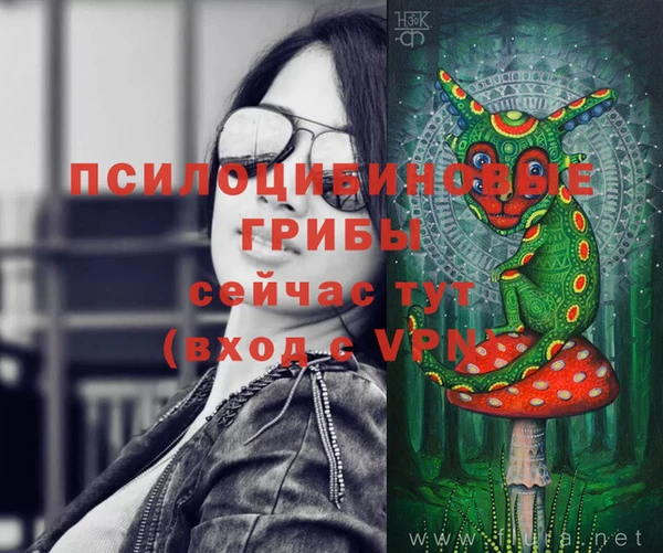 мдпв Вязники