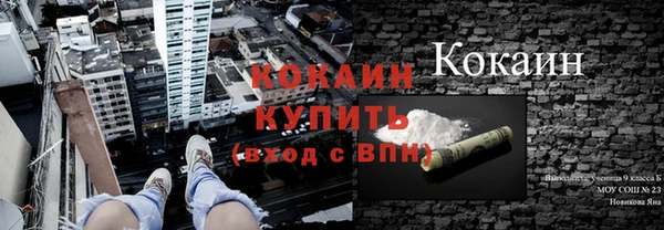 шишки Вязьма
