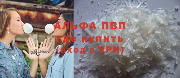 PSILOCYBIN Струнино