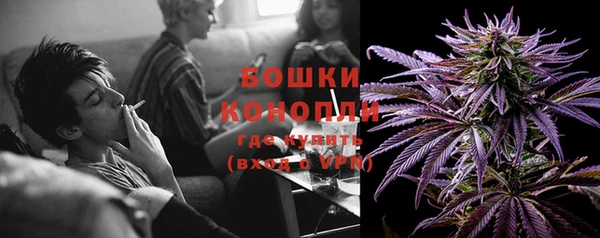 шишки Вязьма