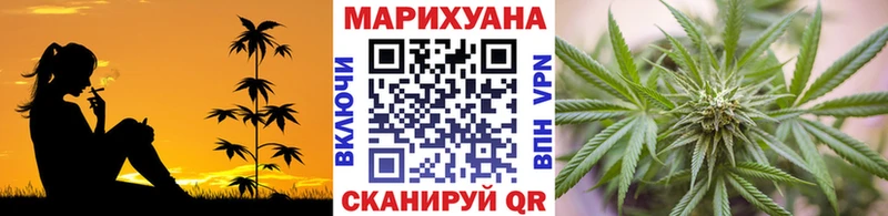 Бошки Шишки Amnesia  Дмитровск 